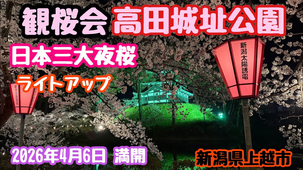April 6, 2026 Cherry Blossom Viewing Party: Nighttime cherry