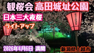 April 6, 2026 Cherry Blossom Viewing Party: Nighttime cherry