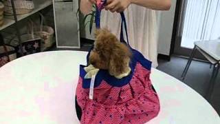 ●radica TV vol 16 ジルradicaﾊﾞｯｸに入るの巻●