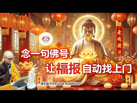 念一句佛号，让福报自动找上门｜净本法师主讲