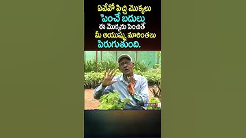 ఈ మొక్క మీ ఇంట్లో ఉంటే మీ ఆయుష్షు నూరింతలు | Vaamaku | Plant Science | Eagle Media Works