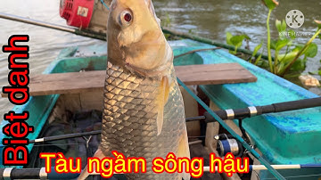 Câu cá cóc bằng mồi nhật Kia Qua Nay| Cá cóc| Nhất Trung Miền Tây