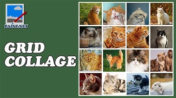 How to make a grid collage in Paint NET