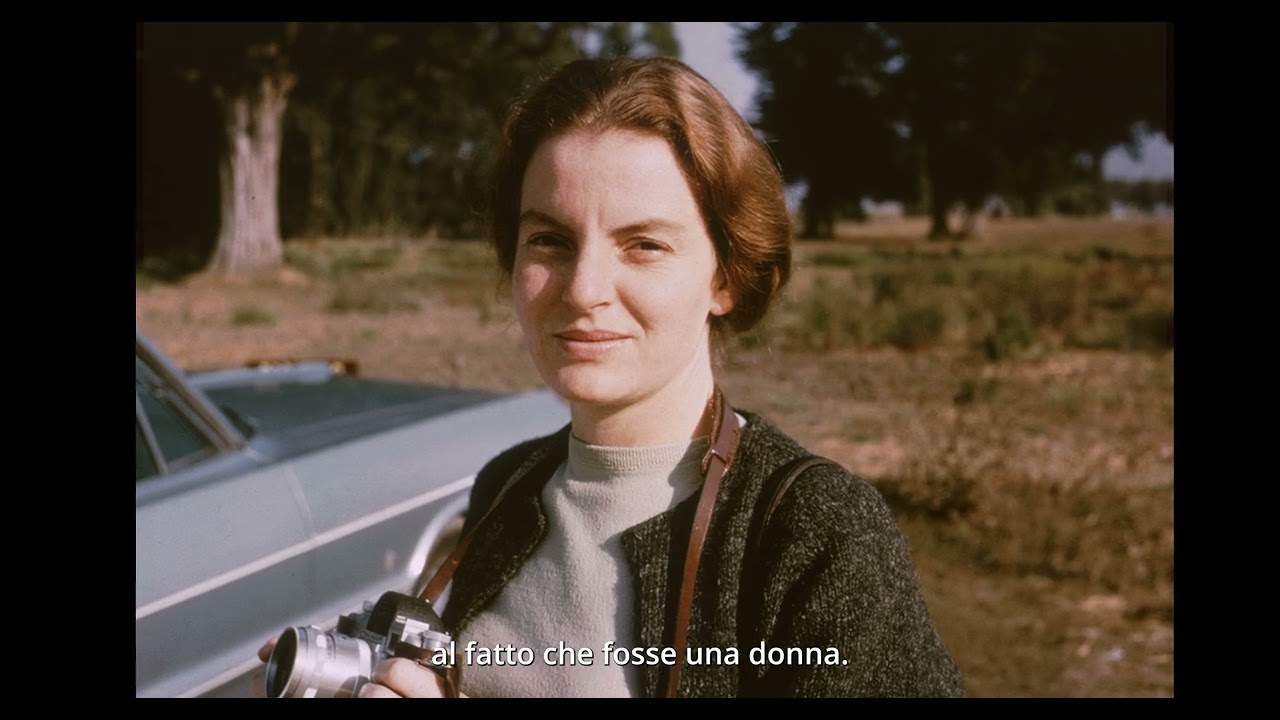 Stardust, Robert Venturi e Denise Scott Brown: una storia d’amore e architettura