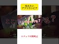 デュラ村で飲むビールって…│このアカウントをフォローして雇用の創出を応援してください #アフリカ#デュラ村 #africa #beer #ビール