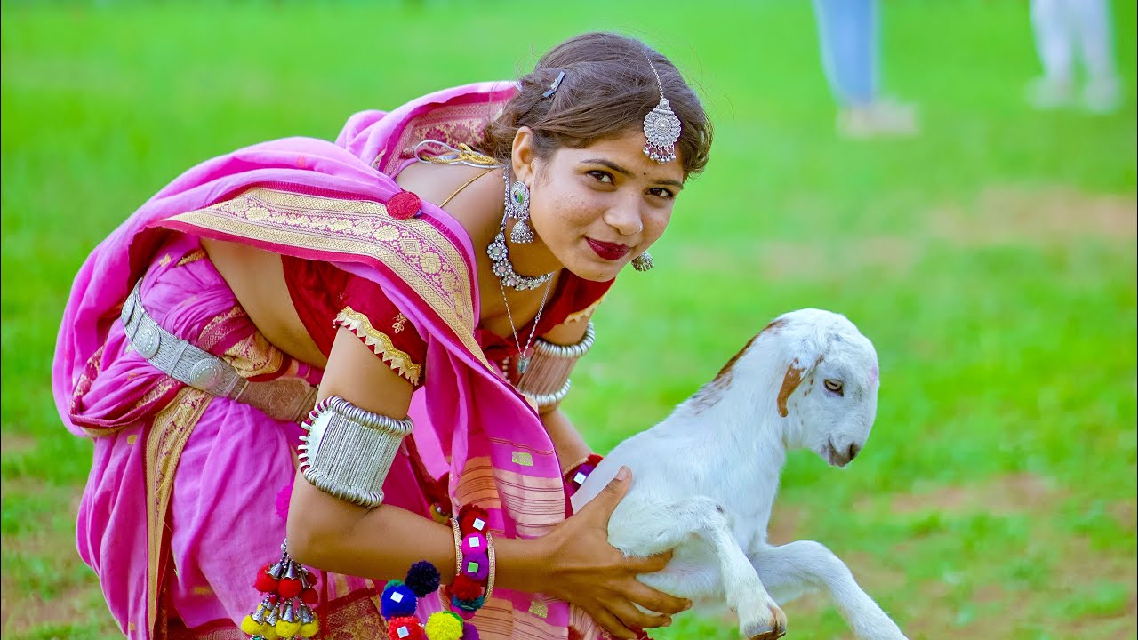 New Adivasi song ( बोयडे बुकड़ा गुवावाई ) Adivasi Video 2025 | Hashiram Alawe | #adivasisong