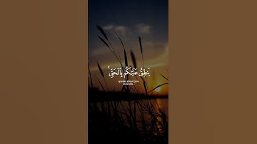 ﴿هذا كتابنا ينطق عليكم بالحق إنا كنا نستنسخ ما كنتم تعملون﴾سورة الجاثية عبد الله خلفMuslim book