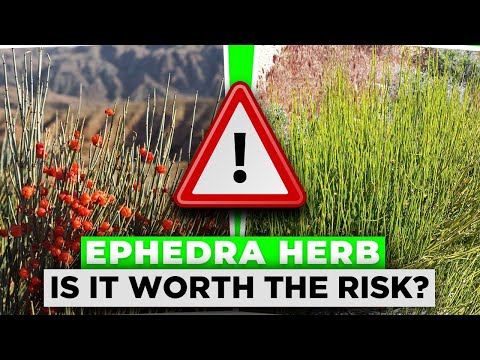 The Dangers Of The Herb EPHEDRA | Is It Worth The Risk