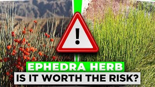 The Dangers Of The Herb EPHEDRA | Is It Worth The Risk