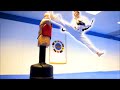 Taekwondo kicking  training sampler on the bob xl