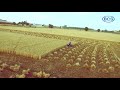 3 Wheel Reaper Binder | Sabin Enterprises | Exporter | Agricultural Machinery & Implements