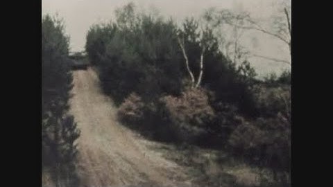 News Item (960f0e5b-2b23-505f-4e07-379d7d543a10)