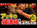 5.14 アッキのパチナウリークライブ配信