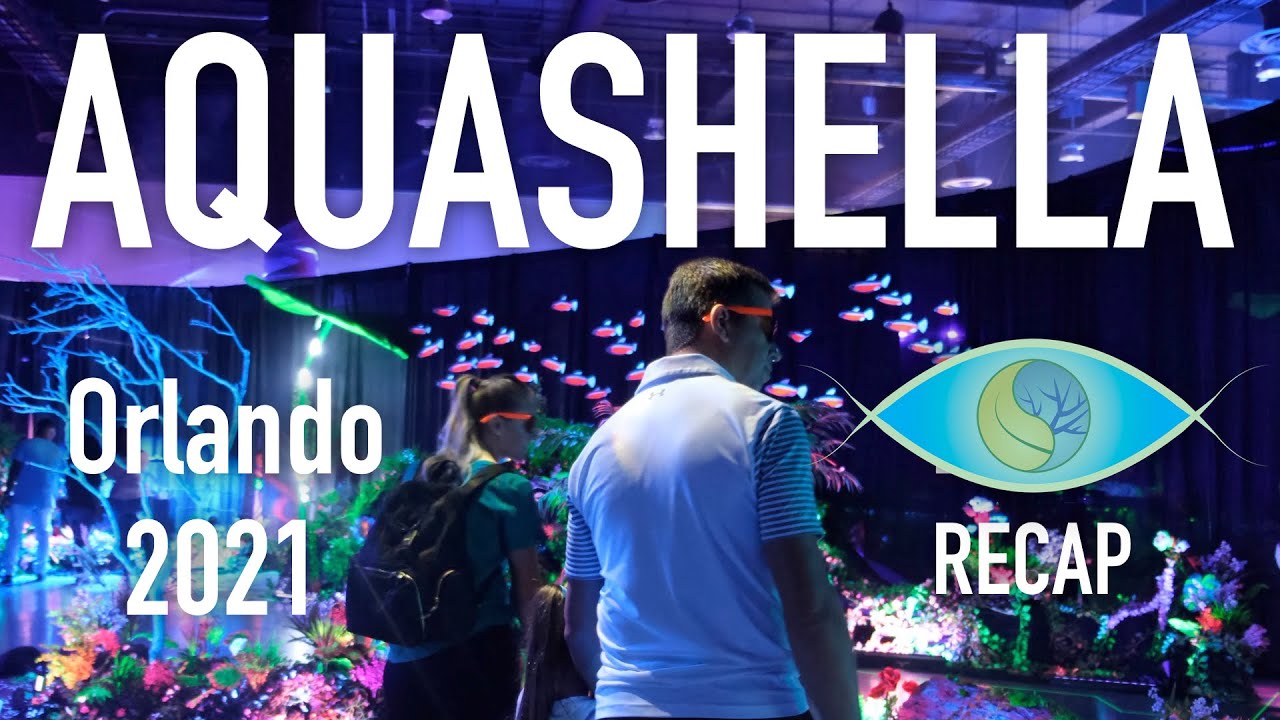 Aquashella Orlando (2021) RECAP 🎥🍿 After-Movie HD