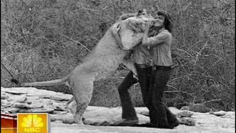 christian the lion cnn rebroadcast
