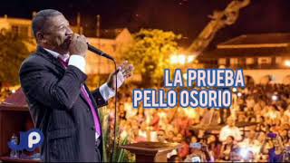 Video thumbnail of "La prueba- Pello Osorio ipuc"