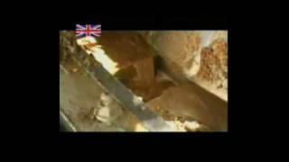 How Its Made - Agave Harvesting And Tequila Processing