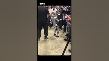 Humaniod Robots of London