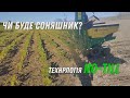 Чи буде Соняшник? Гарна Сівалка, запрорука врожаю!