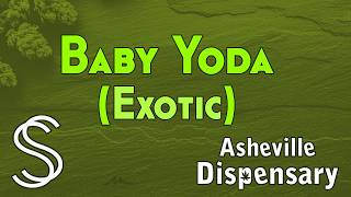 "Baby Yoda" (Exotic) from Asheville Dispensary | SmallzSmokez THCA Review