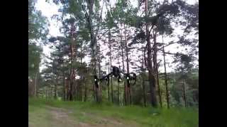 Полёт над Дёржей. Видео в сосновом лесу. DJI Inspire 1.
