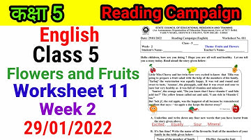Class 5 English Week 2 Worksheet 11 | Class 5 Reading Campaign English Worksheet 11 Week 2 |