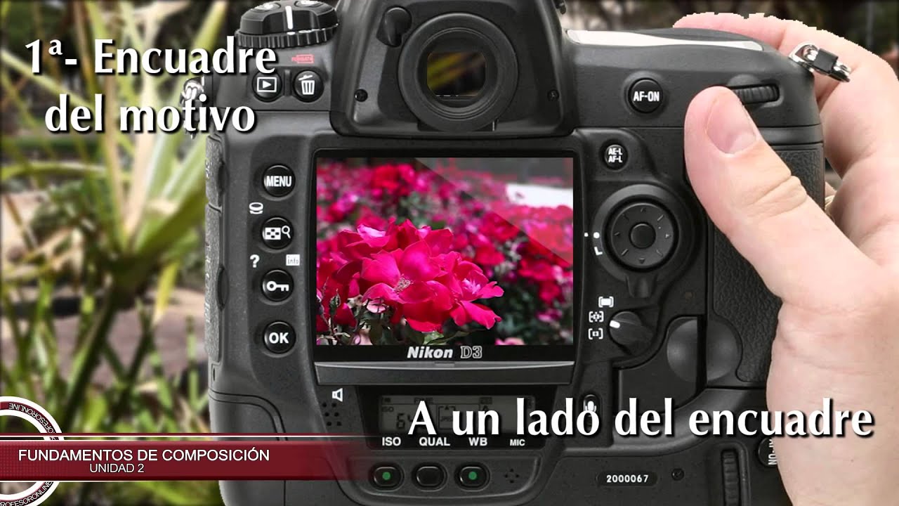 Fundamentos de composición fotográfica