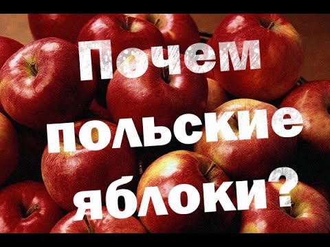 Польские Яблоки Фото