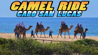 CAMEL RIDE - Rancho Tierra Sagrada - Cabo San Lucas - Mexico (4K)