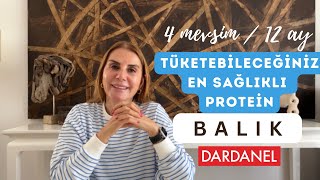 En Sağlıklı Protein; BALIK | 4 mevsim, 12 ay tüketebileceğiniz balığa dair merak ettikleriniz