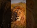 @PoriQuestSafaris