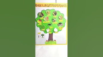 Things we get from plants)Plant Uses/Plants products/Uses of trees#shorts #ytshorts#schoolproject