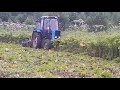 Покос борщевика (уничтожение, дискование) с помощью трактора