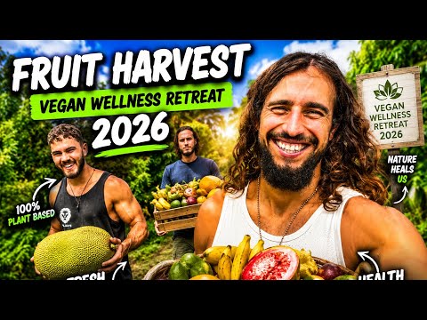 We Harvested 4,500+ Pounds of Fruit for a Vegan Retreat 🔥