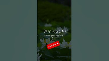 إن الذين يجادلون في آيات الله بغير سلطان  ياسر الدوسري #القرآن_الكريم #مقطع_قرآني #quran