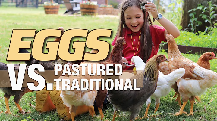 Free Range vs. PASTURED Eggs (Side-by-Side Comparison)