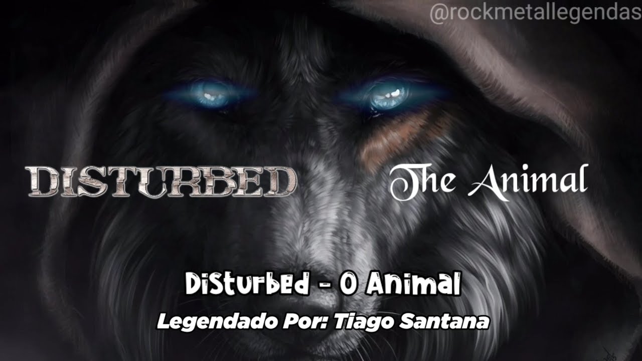 Disturbed animal