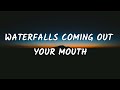 Glass Animal - Waterfalls Coming Out Your Mouth (Lyrics)