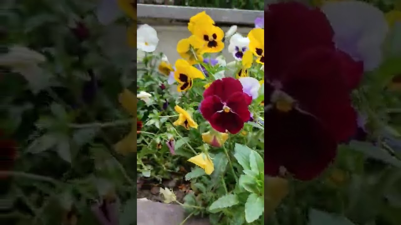 swim in the flowers #5