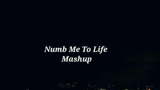 Linkin Park\/Evanescence - Numb me to life : Lyrical Video