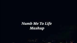 Linkin Park/Evanescence - Numb me to life : Lyrical Video