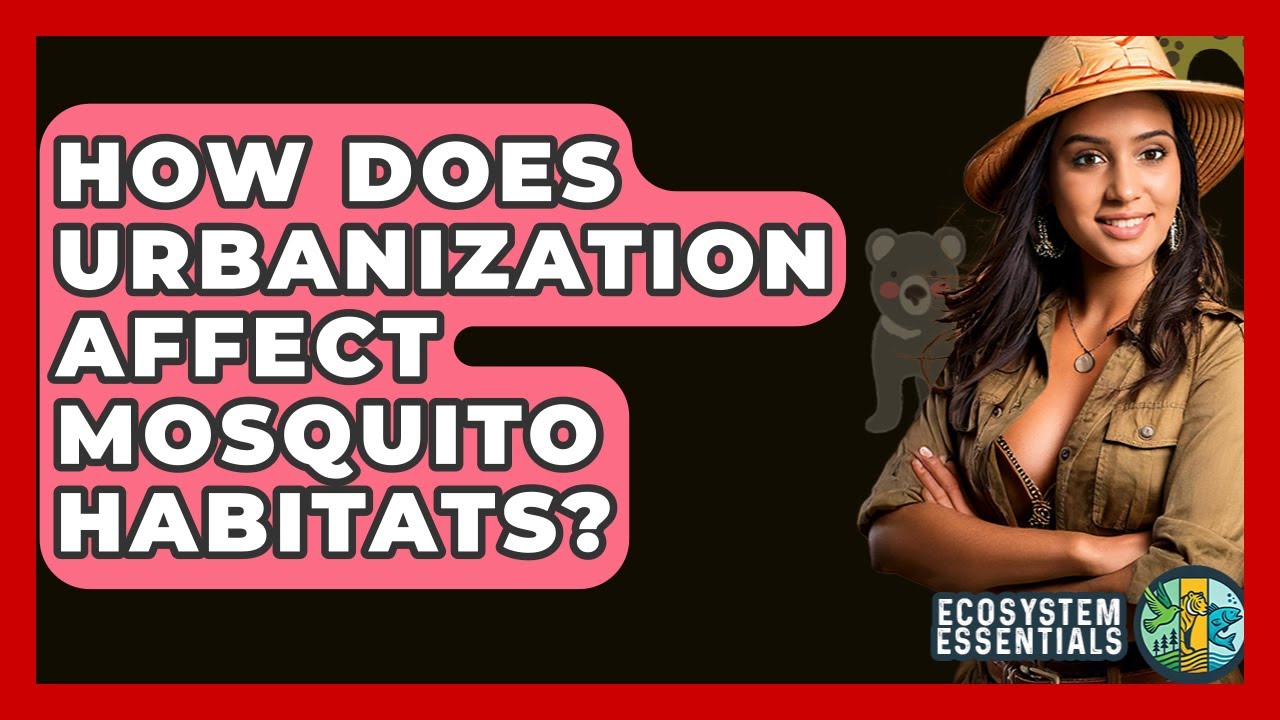 How Does Urbanization Affect Mosquito Habitats? - Ecosystem Essentials