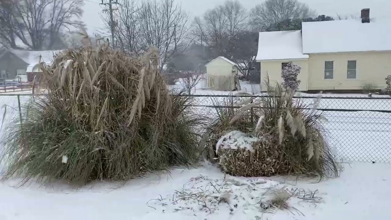 Я не люблю зиму.