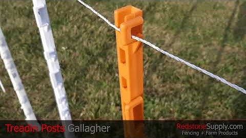 Gallagher Single Foot Treadin Posts at RedstoneSupply.com