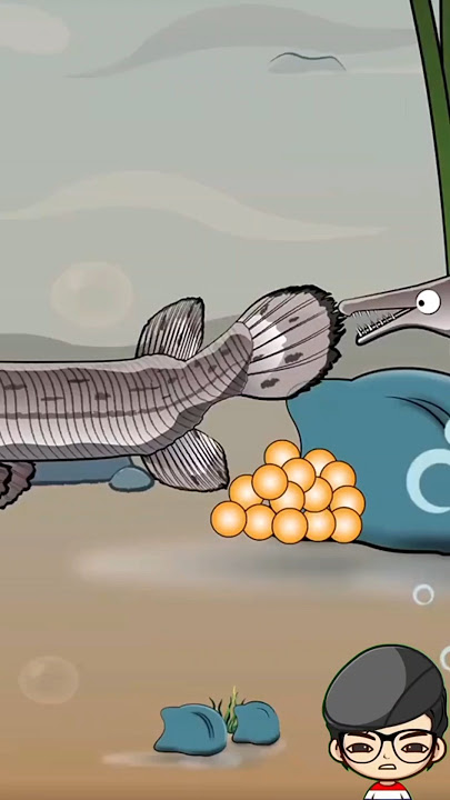 Jangan makan telur ini!!