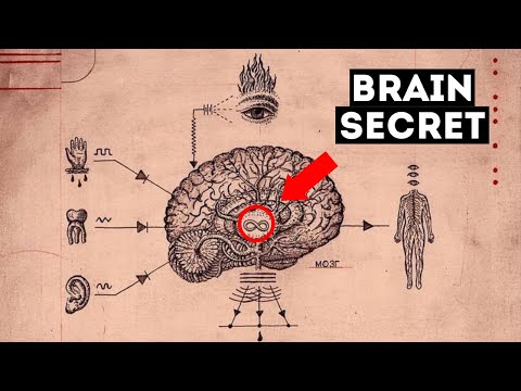 How To Trick Your Mind In Thinking Big