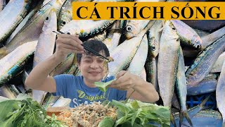 Gỏi cá trích | ăn cá trích sống | eating sounds | Cơm Nhà TV