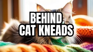 Secret Behind Cats' Kneading Behavior !!! #catfacts by Cat Facts 12 views 2 months ago 1 minute, 57 seconds