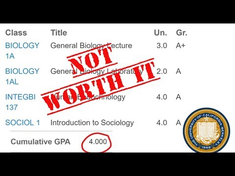 Why My 4.0 at UC Berkeley Actually Hurt Me