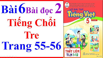 Vở Bài Tập Tiếng Việt Lớp 5 Bài 6 | Tiếng Chổi Tre | Trang 55 - 56 | Cánh Diều | Bài Đọc 2